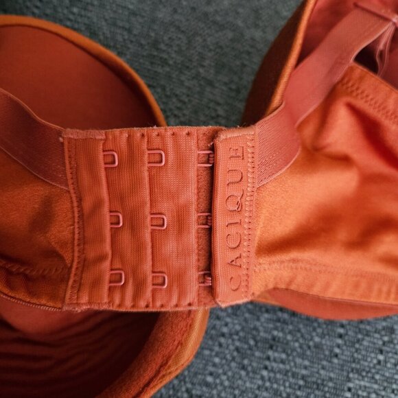 Cacique By Lane Bryant stunning support orange underwire lace bow bra 42D - Picture 3 of 8